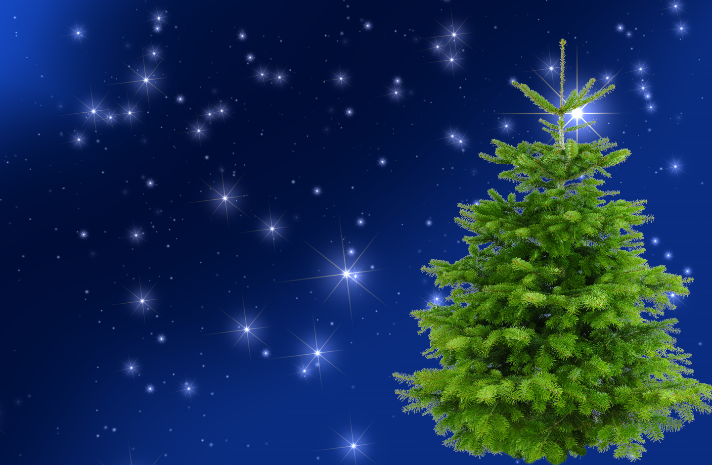 Hero Image Bild für Desktop (1440x940)